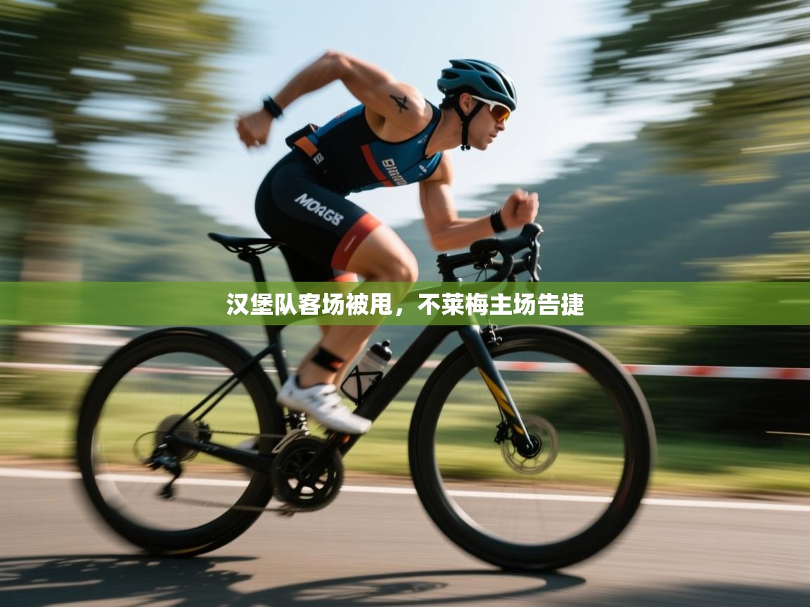 汉堡队客场被甩，不莱梅主场告捷  第1张