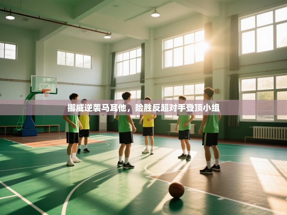 挪威逆袭马耳他，险胜反超对手登顶小组  第2张