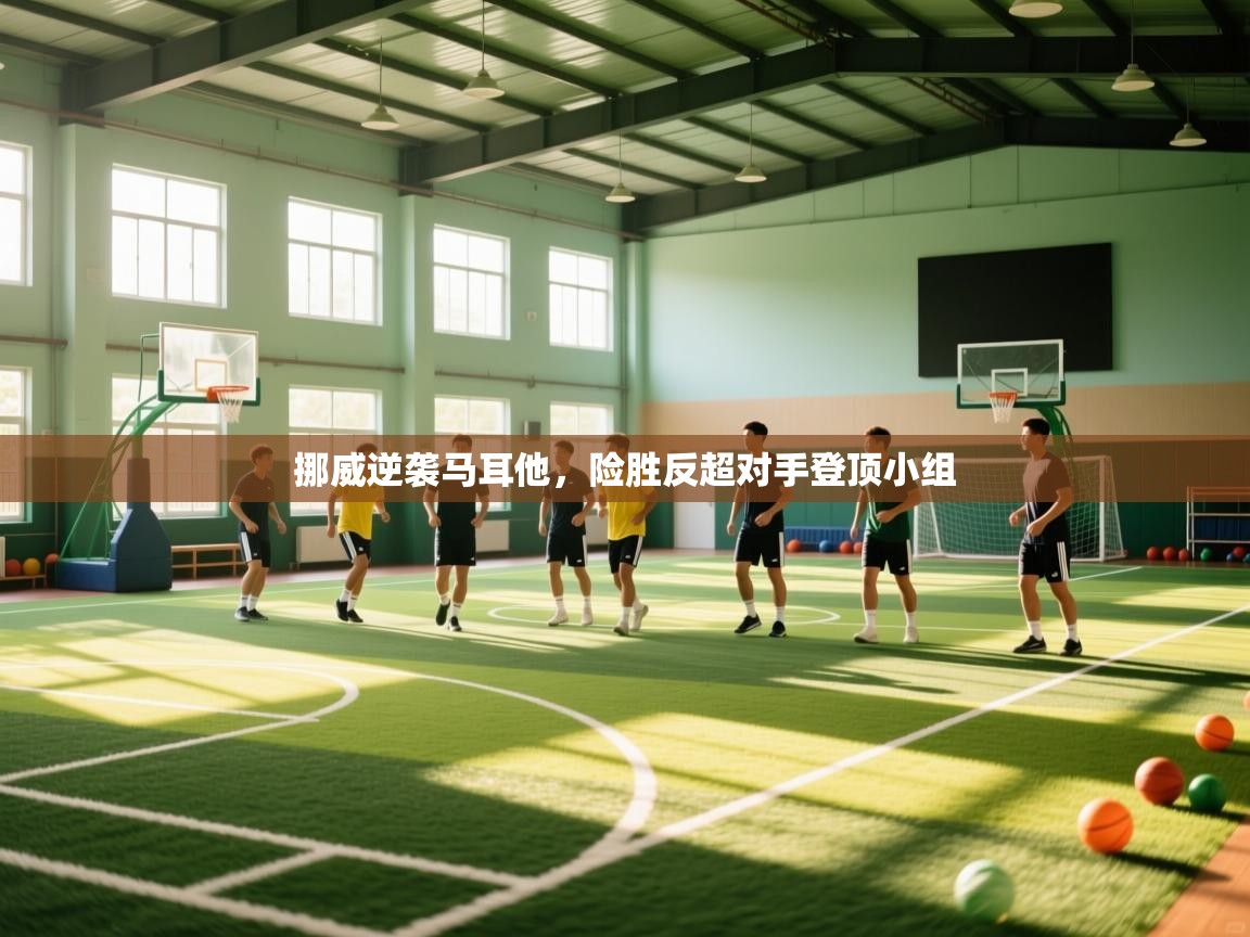 挪威逆袭马耳他，险胜反超对手登顶小组  第1张